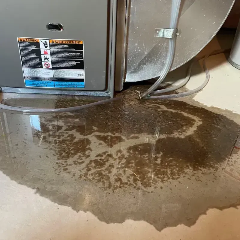 Appliance Leak Cleanup in Rib Mountain, WI